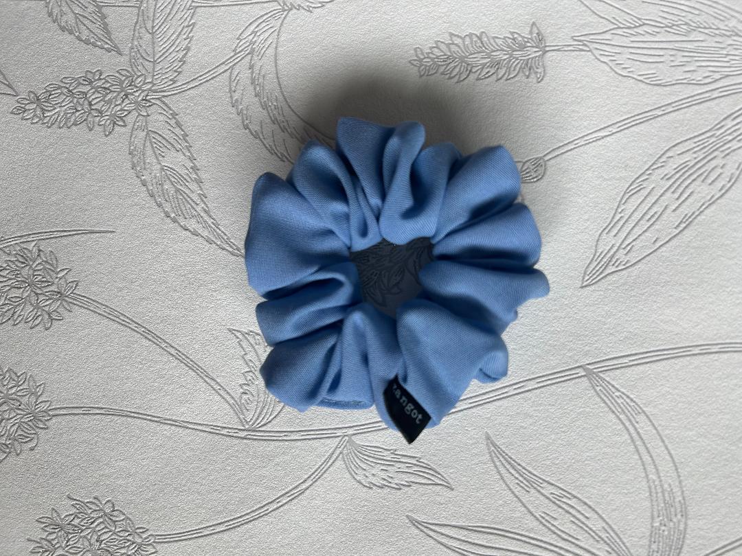 Small Spring25 Blue Scrunchie